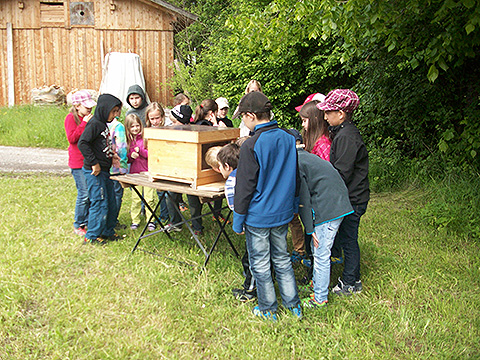 Bienenkasten