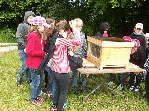 Bienenkasten